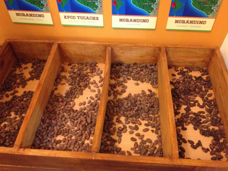 different kinds of beans