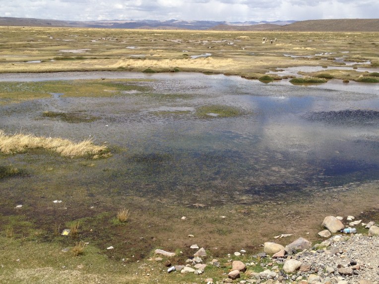 wetlands // A Slice of Peru