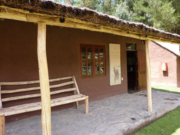 alpaca museum - Colca Lodge // A Slice of Peru