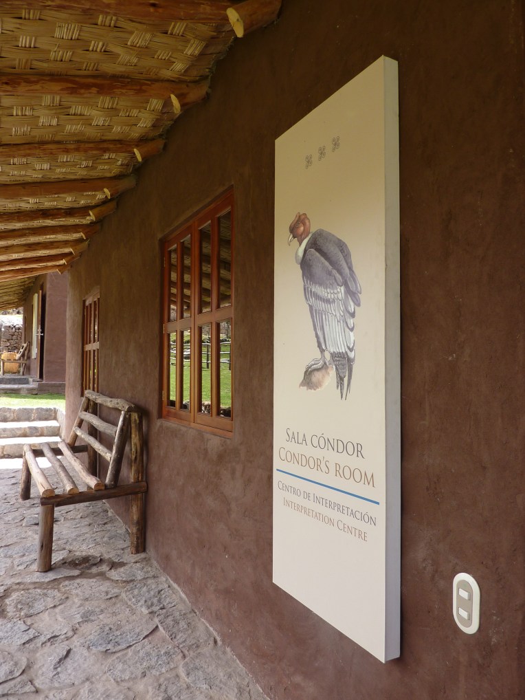 condor museum - Colca Lodge // A Slice of Peru