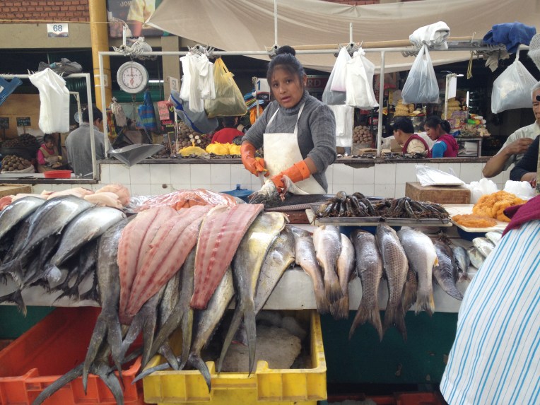 Mercado San Camilo, Arequipa // A Slice of Peru