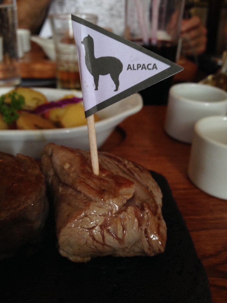 Alpaca, Zig Zag, Arequipa // A Slice of Peru